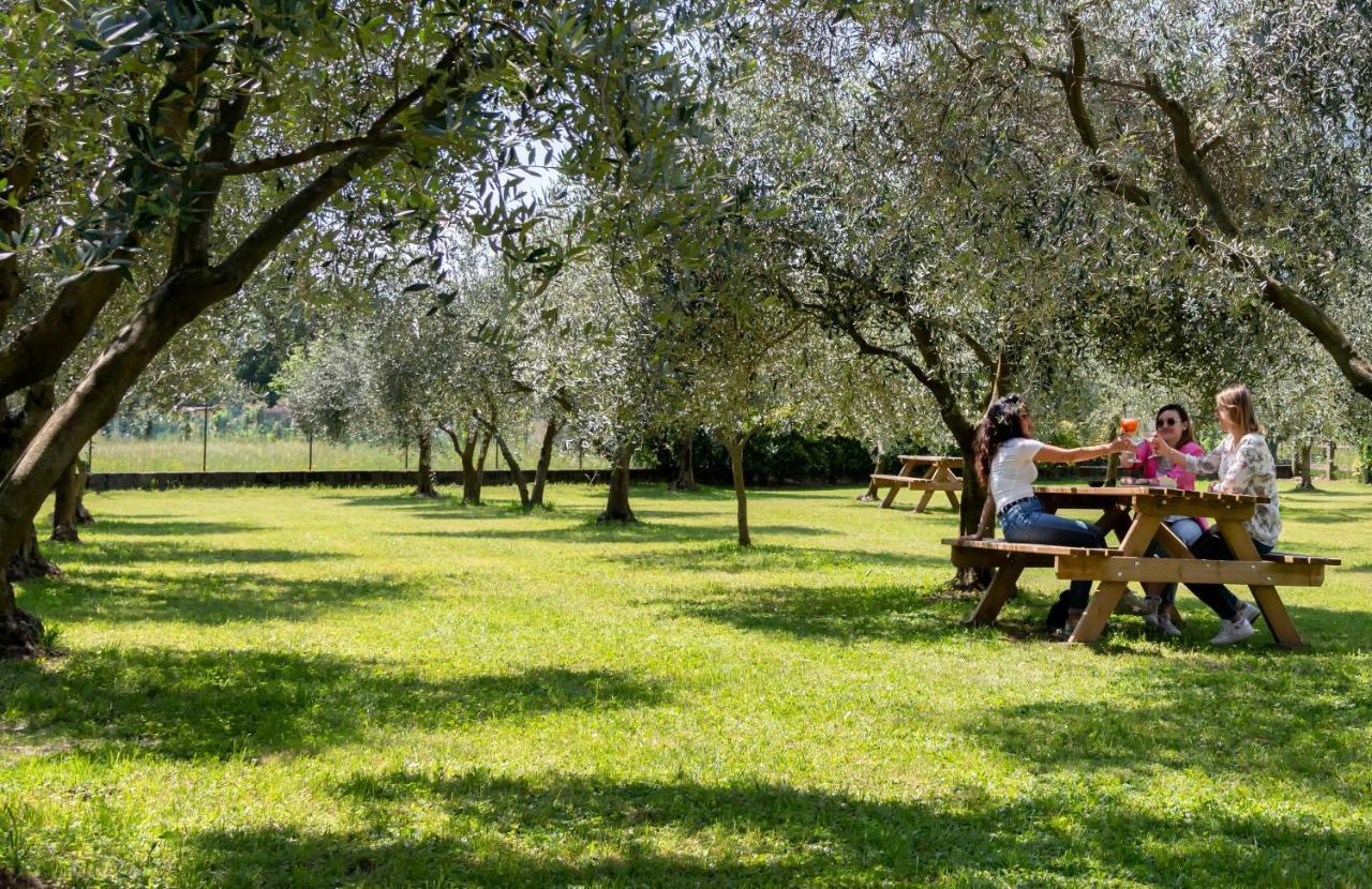 Agriturismo Ca Del Lago Gravedona Exterior photo